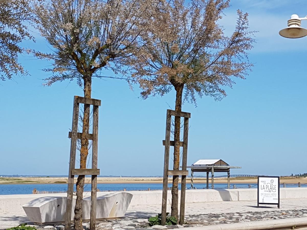 Dormir Sur La Plage マレンヌ エクステリア 写真